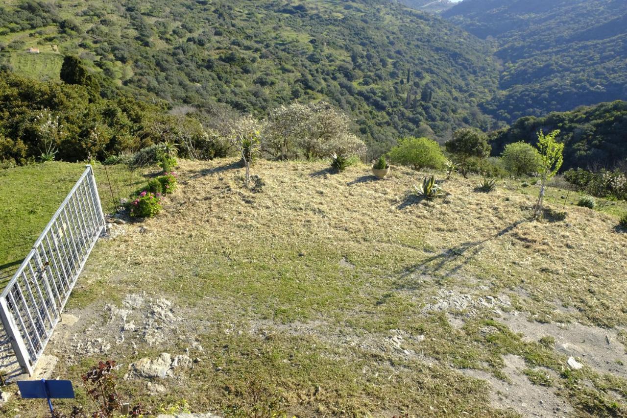 Hill'S Barbacane Pótamosz Kültér fotó